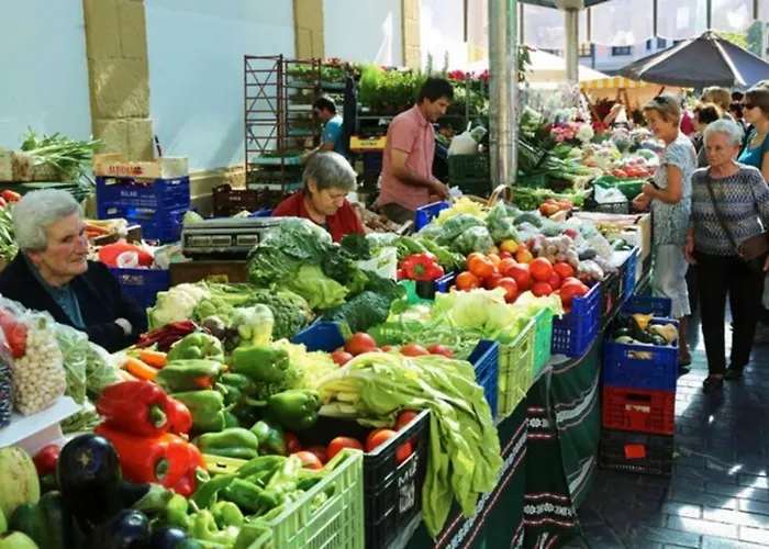 Piso Encantador En El Centro Διαμέρισμα *
